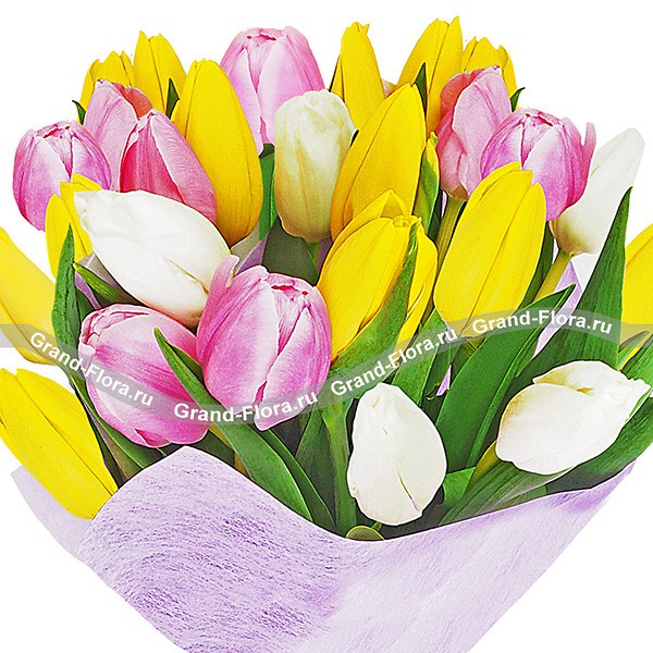 Утренняя нежность - букет из разноцветных тюльпанов