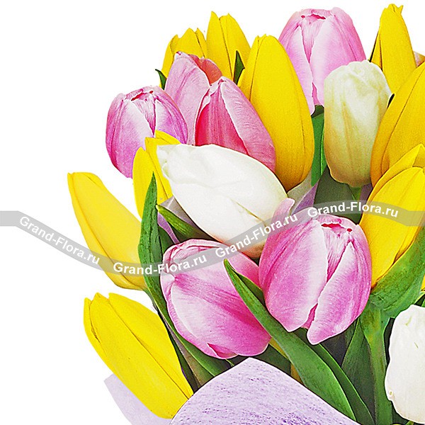 Утренняя нежность - букет из разноцветных тюльпанов